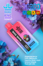 Bang King 30k Vape Watermelon Ice Blueberry Mint E Zigaretten Shop Bang King 30k Vape Watermelon Ice Blueberry Mint E Zigaretten Shop