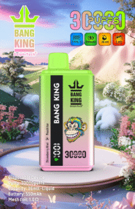 Bang King 30k Vape Strawberry Kiwi Peach Ice E Zigaretten Shop Bang King 30k Vape Strawberry Kiwi Peach Ice E Zigaretten Shop