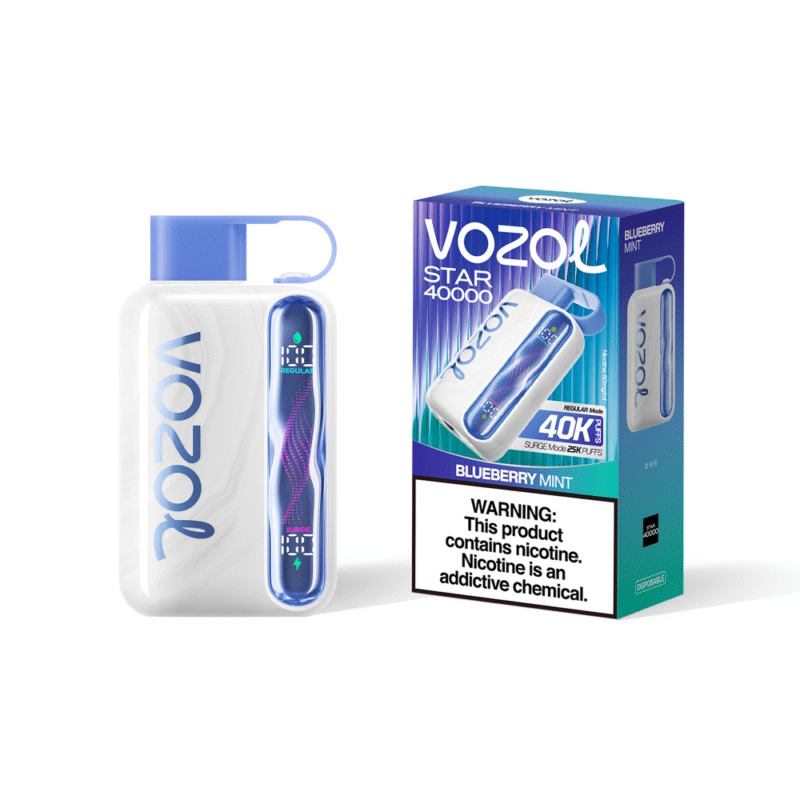 Vozol Star 40000 Blueberry Mint