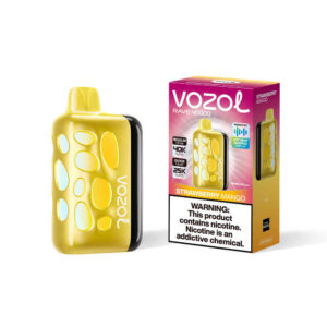 Vozol Vape Rave 40000 Strawberry Mango