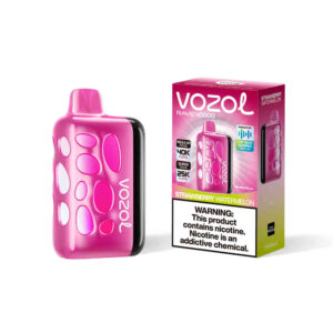 Vozol Vape Rave 40000 Strawberry Watermelon