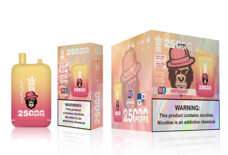 Zigaretten Bang King 25000 Vape Juicy Peach Ice
